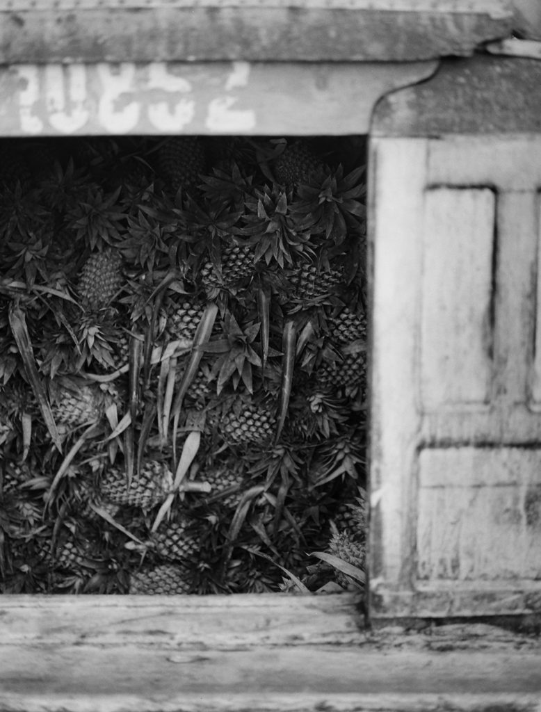 MEKONG DELTA, VIETNAM