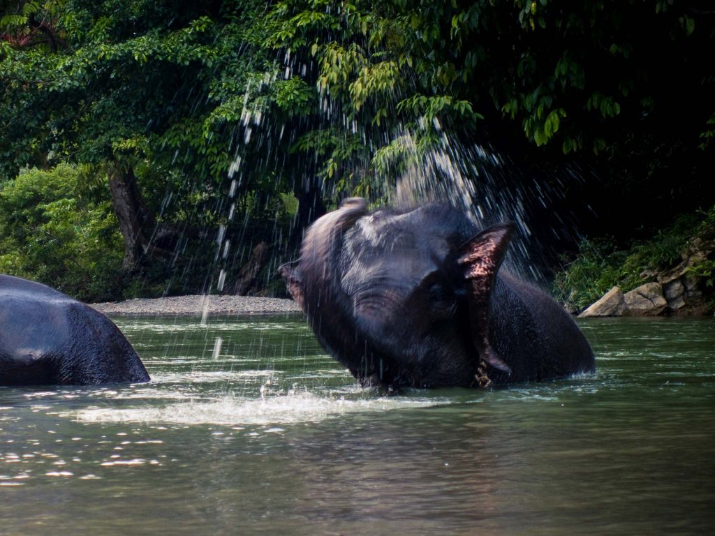 SUMATRA, INDONESIA