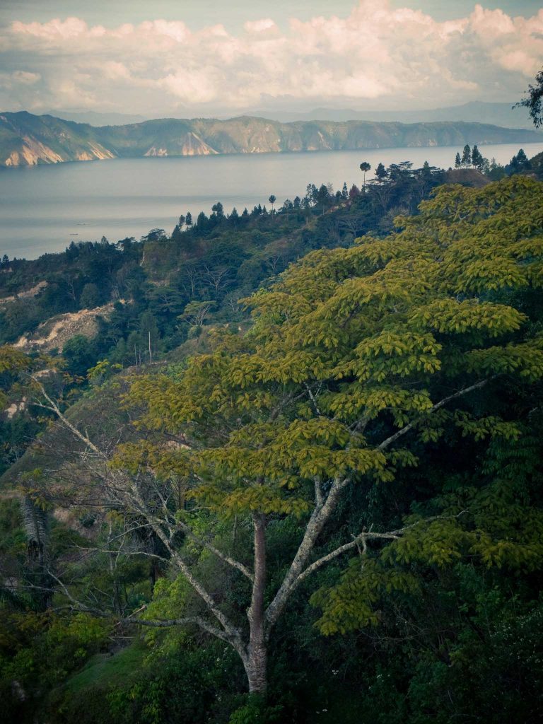 SUMATRA, INDONESIA